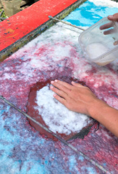 Carols papermaking Carols papermaking