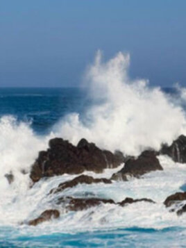 Coastal-Landscape Coastal-Landscape