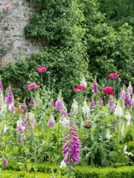 Garden picture Garden picture